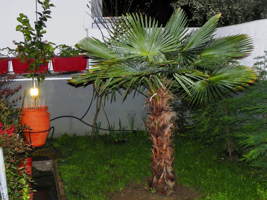 Villa Anna Limenas (Thasos) Exterior foto
